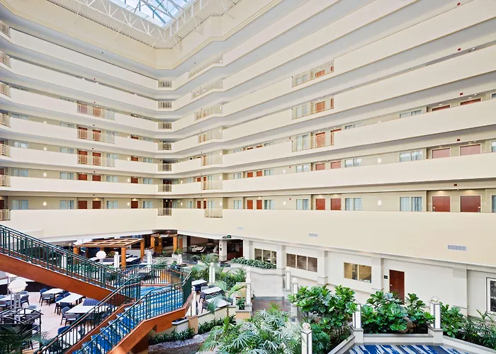 Embassy Suites By Hilton Tampa Usf Near Busch Gardens